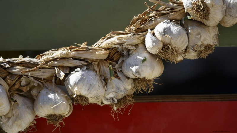 Expertenratgeber:Zwiebeln und Knoblauch ernten, pökeln und lagern 