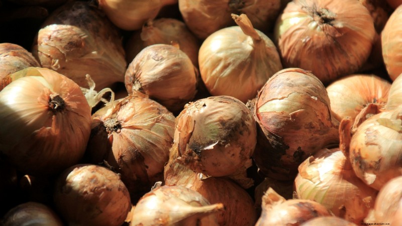 Expertenratgeber:Zwiebeln und Knoblauch ernten, pökeln und lagern 