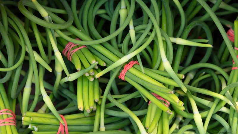 Expertenratgeber:Zwiebeln und Knoblauch ernten, pökeln und lagern 