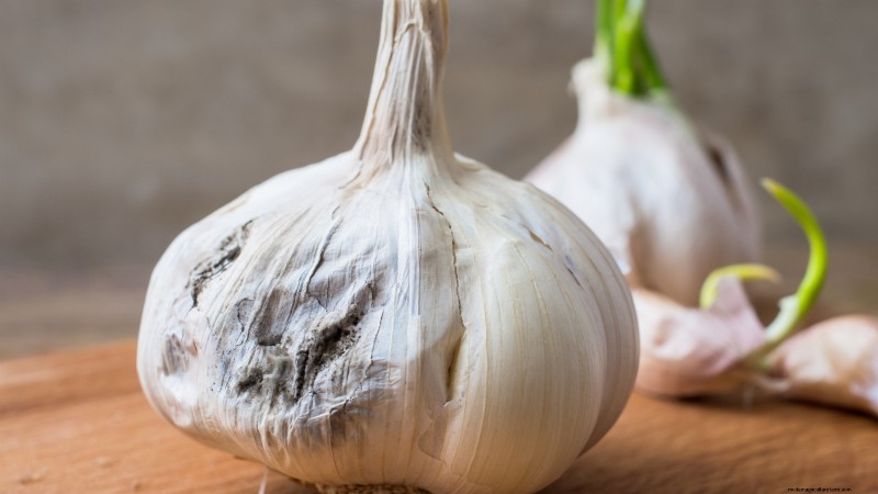 Zilverwitte knoflook:gids voor planten, groeien en verzorgen | [Uw merk/website] 