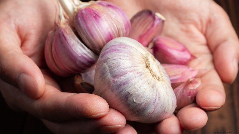 Kwaliteitszaadknoflook kiezen:een gids voor telers 
