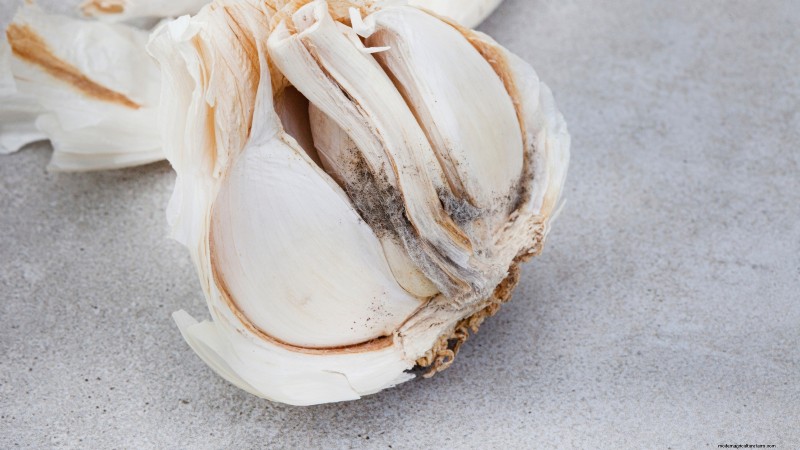 Inchelium rode knoflook:gids voor planten, groeien en verzorgen 