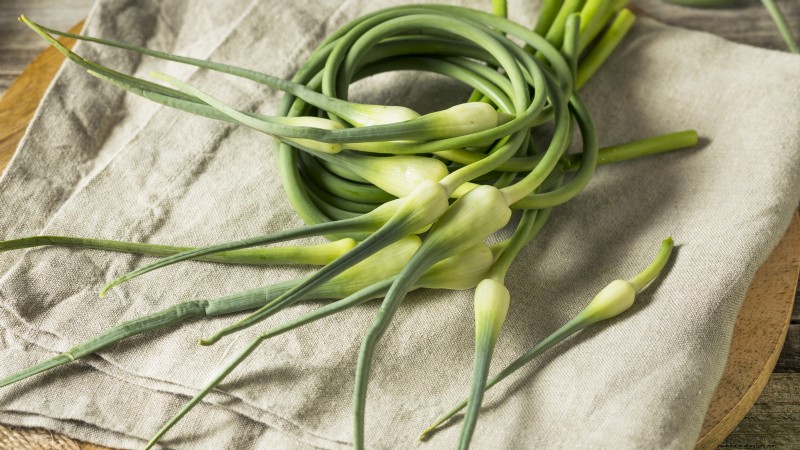 Knoflook kweken:7 redenen om dit jaar je eigen te planten | [Uw merk/website] 
