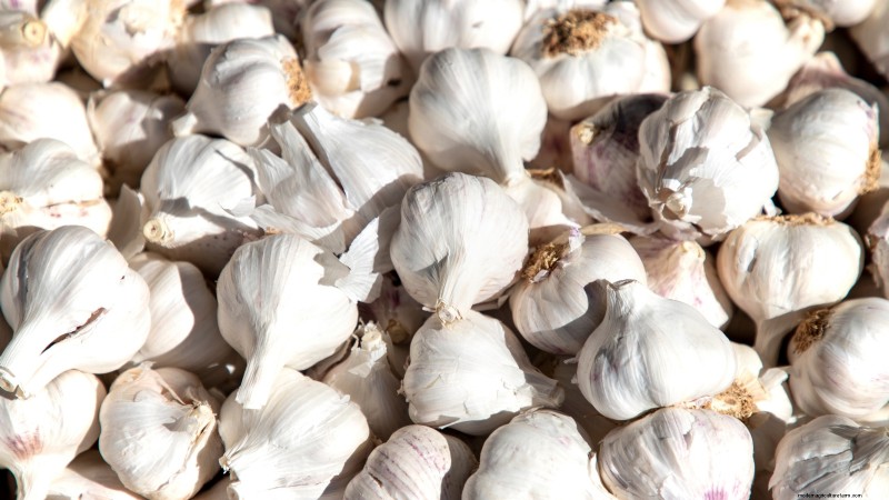 Tuinbedden voorbereiden op het planten van knoflook:een stapsgewijze handleiding 