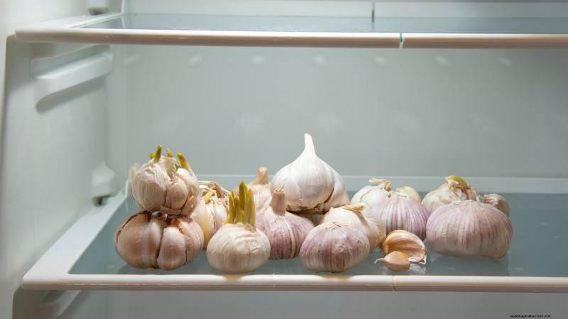 Gids voor het planten van knoflook:herfst versus zomer - wat u moet weten 