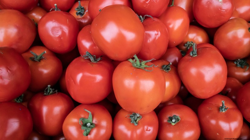 Tomaten ernten:Der richtige Zeitpunkt für den besten Geschmack und die beste Qualität 