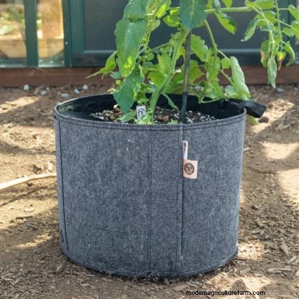 Kweek meer aardappelen:9 tips voor succesvol planten in verhoogde bedden 