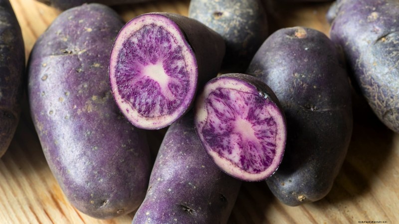 Kweek meer aardappelen:9 tips voor succesvol planten in verhoogde bedden 