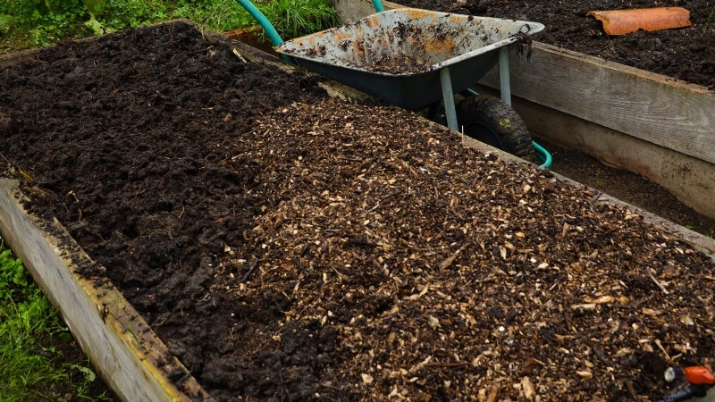 Kweek meer aardappelen:9 tips voor succesvol planten in verhoogde bedden 