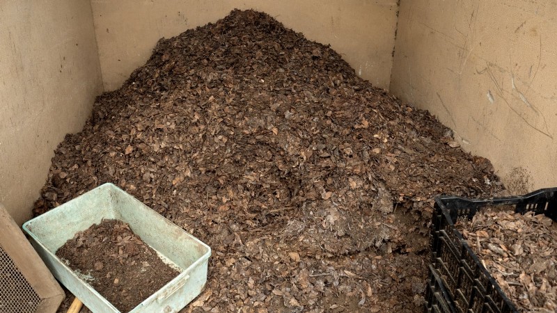 Grow Bags for Tomatoes:een complete gids voor overvloedige oogsten 