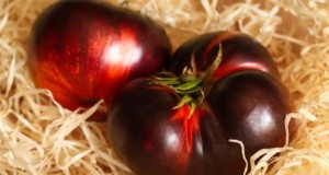 Black Krim-tomaat:gids voor planten, groeien en verzorgen | [Uw merk-/websitenaam] 