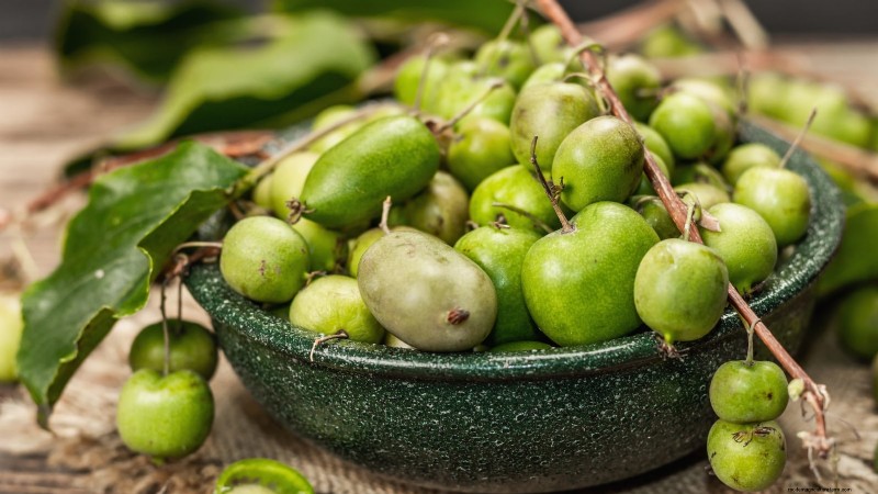 Züchten Sie produktive, winterharte Kiwi-Reben:Pflanzen, Pflege und Ernte 