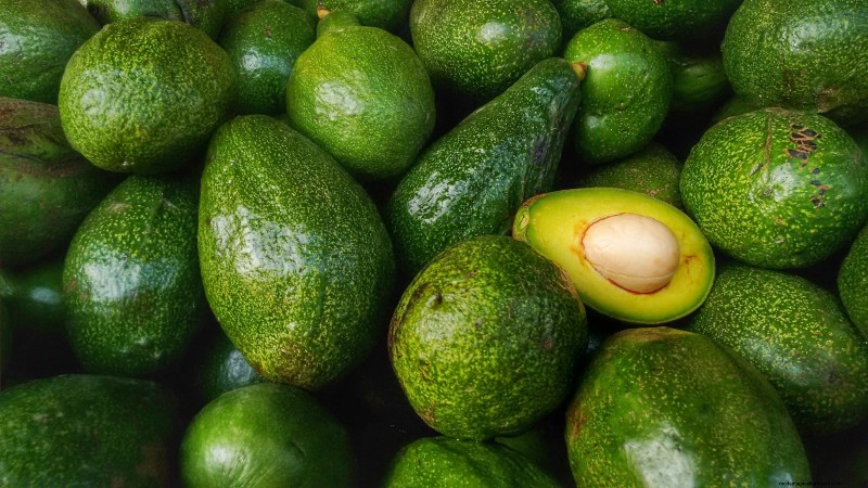 Die 5 besten Avocado-Sorten für den Hausgarten:Ein vollständiger Leitfaden 