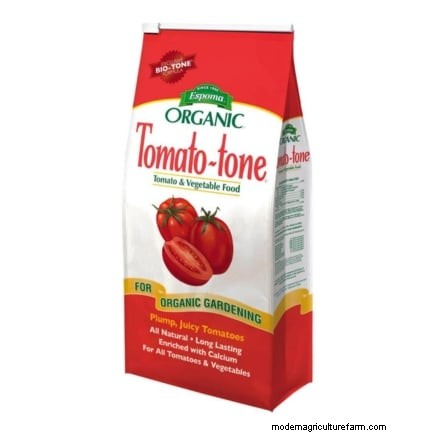 Schalten Sie außergewöhnlichen Tomatengeschmack frei:13 Experten-Anbautipps 
