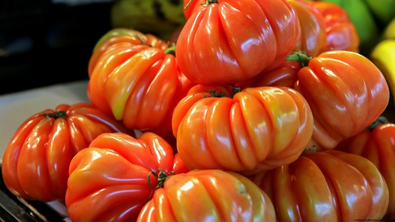 Schalten Sie außergewöhnlichen Tomatengeschmack frei:13 Experten-Anbautipps 