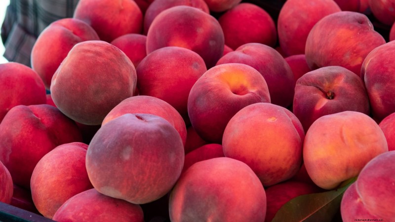 Freestone vs. Clingstone Peaches:Ein umfassender Leitfaden 