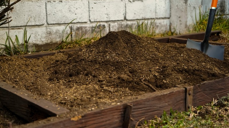 Maïsteelt met verhoogd bed:een uitgebreide gids voor boeren in de achtertuin 