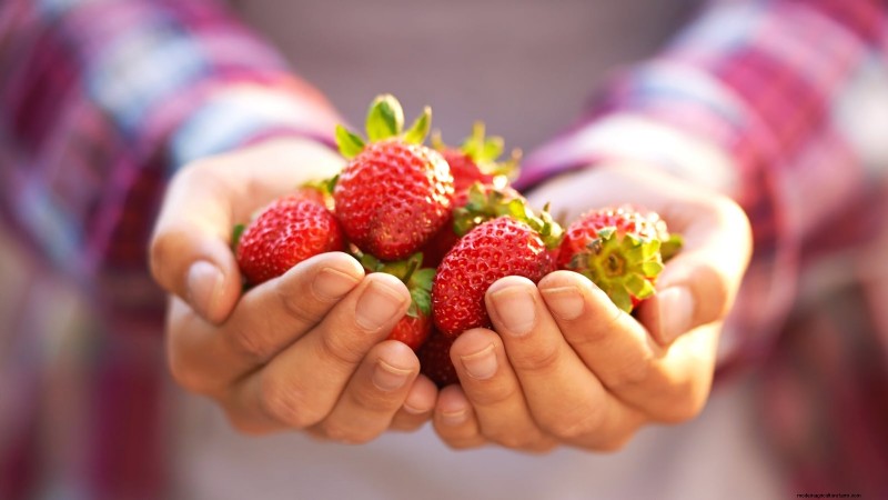 Bauen Sie üppige Erdbeeren an:8 Geheimnisse für saftige, aromatische Beeren 