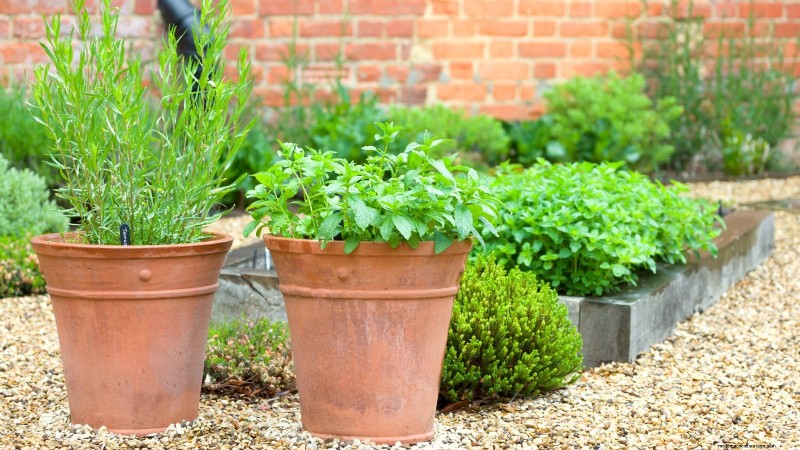 Entwerfen Sie einen schönen und produktiven französischen Potager-Garten 