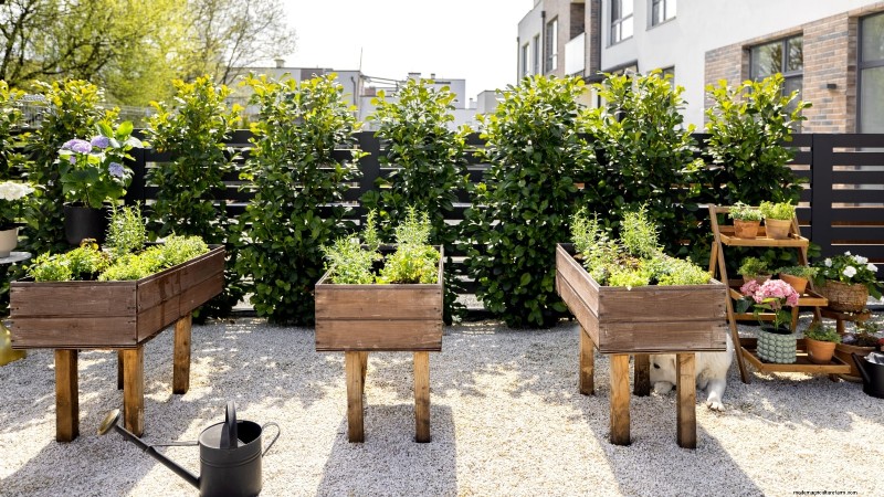 Entwerfen Sie einen schönen und produktiven französischen Potager-Garten 