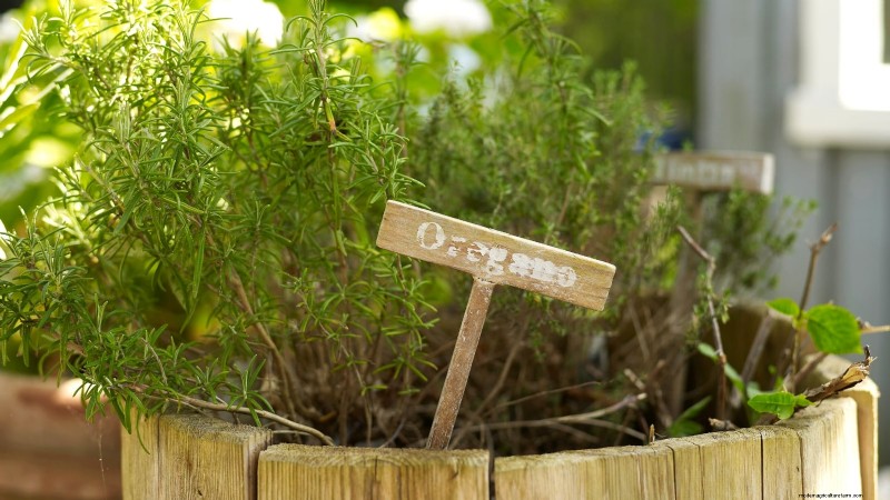 Entwerfen Sie einen schönen und produktiven französischen Potager-Garten 