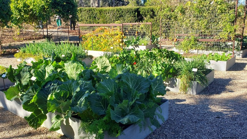 Entwerfen Sie einen schönen und produktiven französischen Potager-Garten 