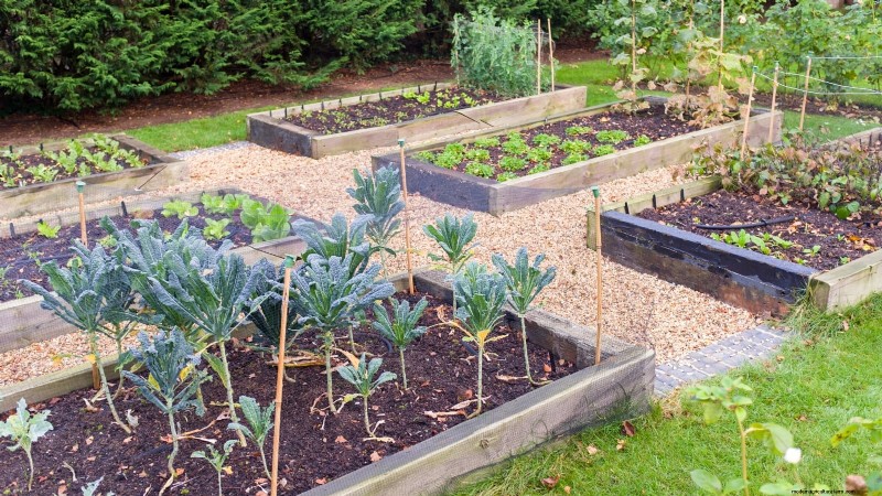 Entwerfen Sie einen schönen und produktiven französischen Potager-Garten 