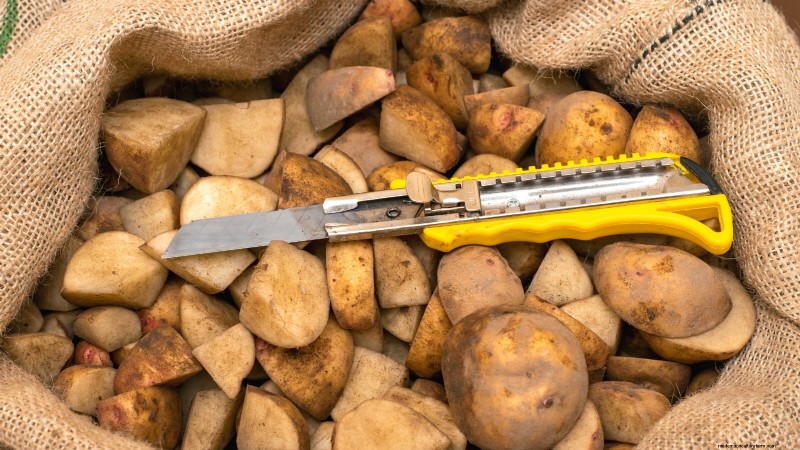 Aardappelplantgids:9 essentiële tips voor een overvloedige oogst 
