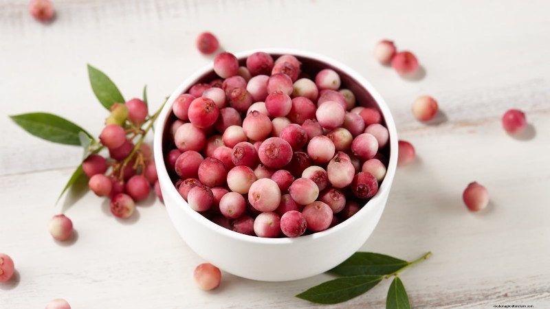 Anbau von Blaubeeren mit rosa Limonade:Ein umfassender Leitfaden 