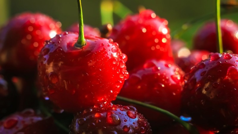 Bing-Kirschbäume:Leitfaden zum Pflanzen, Wachsen und Pflegen 