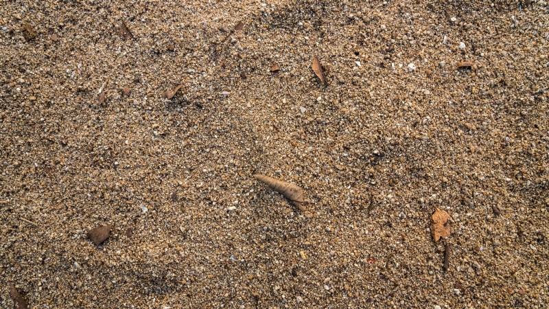 Bing-Kirschbäume:Leitfaden zum Pflanzen, Wachsen und Pflegen 
