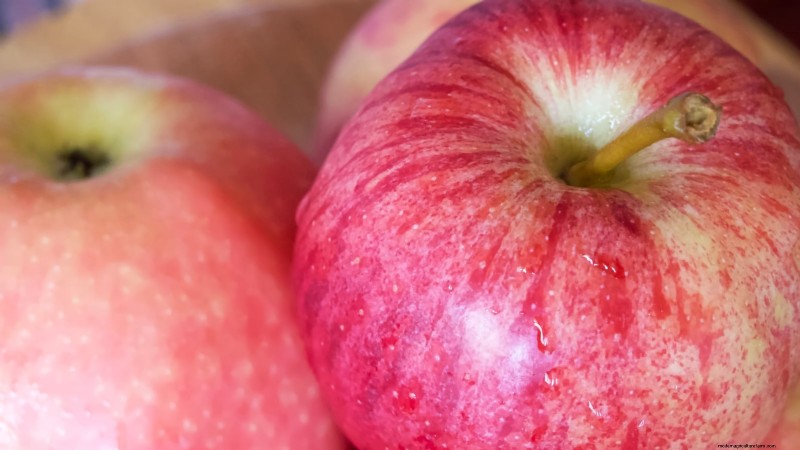 Gala-appelboom:gids voor planten, groeien en verzorgen 