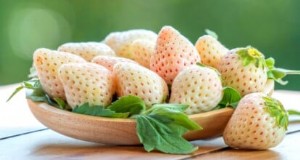 Pineberries:gids voor planten, kweken en verzorgen van unieke bessen 
