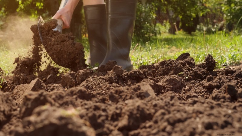 Gemüsegarten in Zone 4:Ein vollständiger Leitfaden für den Erfolg 