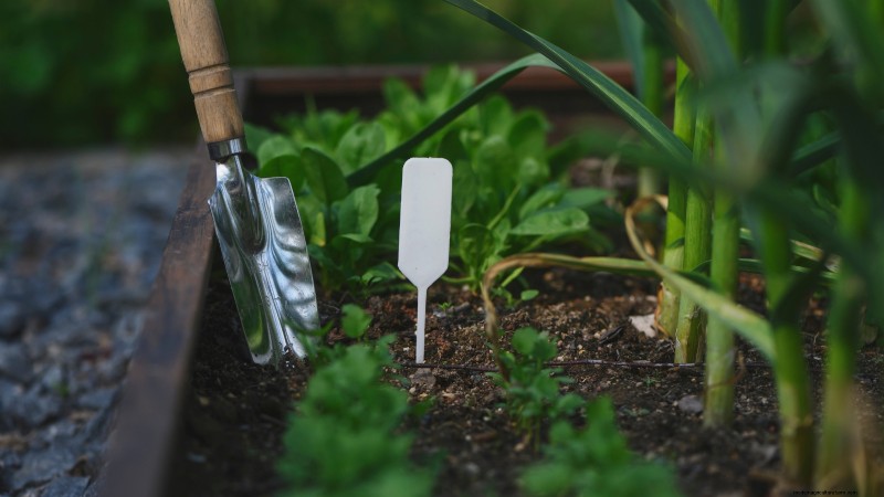 Gemüsegarten in Zone 4:Ein vollständiger Leitfaden für den Erfolg 