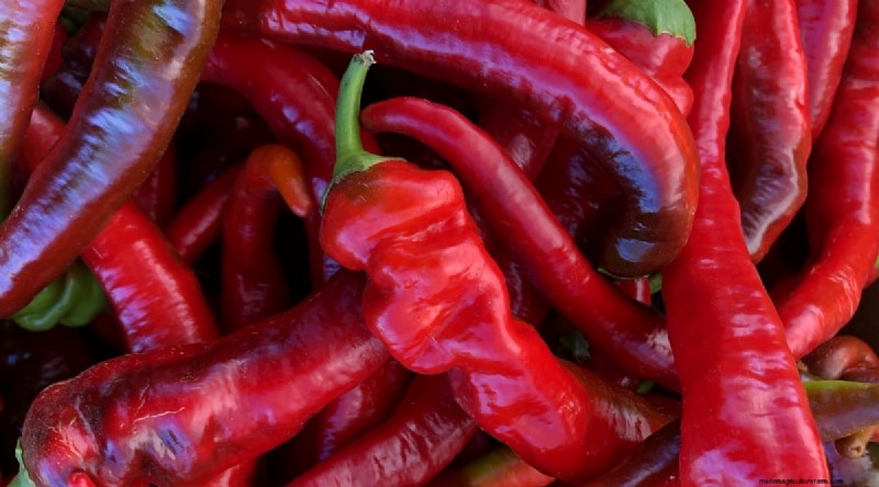 Jimmy Nardello Peppers:Anbau, Pflege und kulinarische Verwendung 