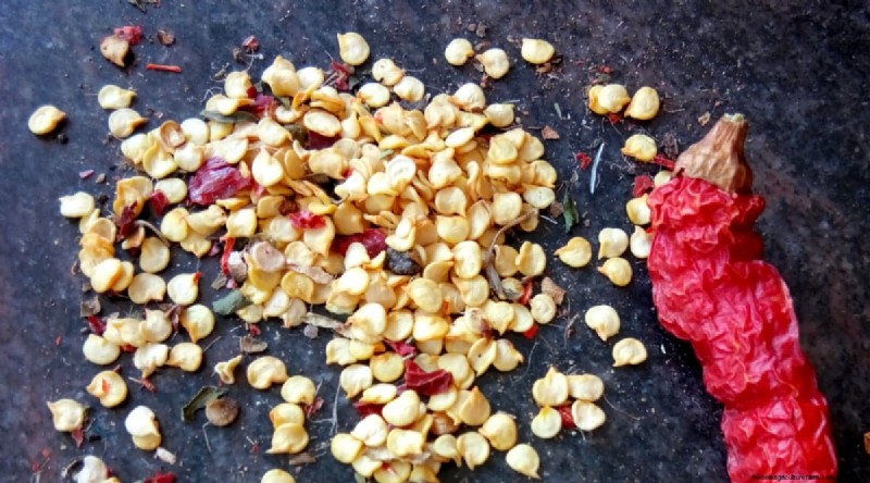 Jimmy Nardello Peppers:Anbau, Pflege und kulinarische Verwendung 