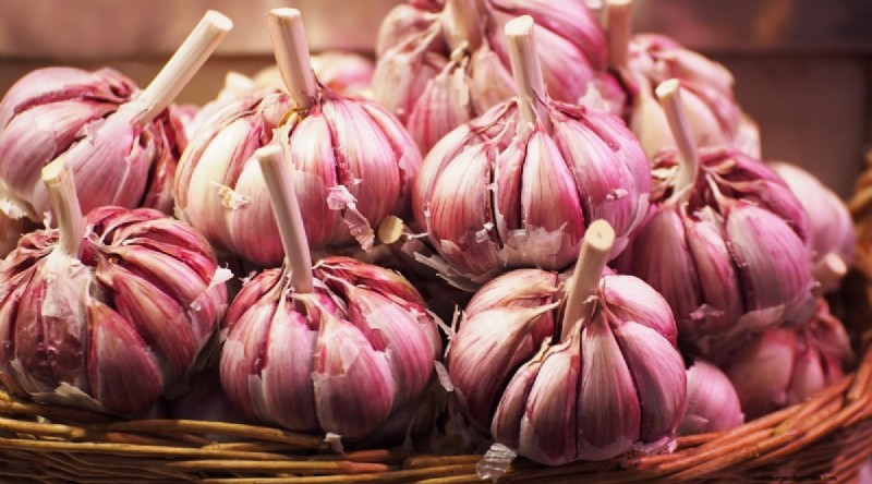 Softneck vs. Hardneck Knoblauch:Ein umfassender Leitfaden 