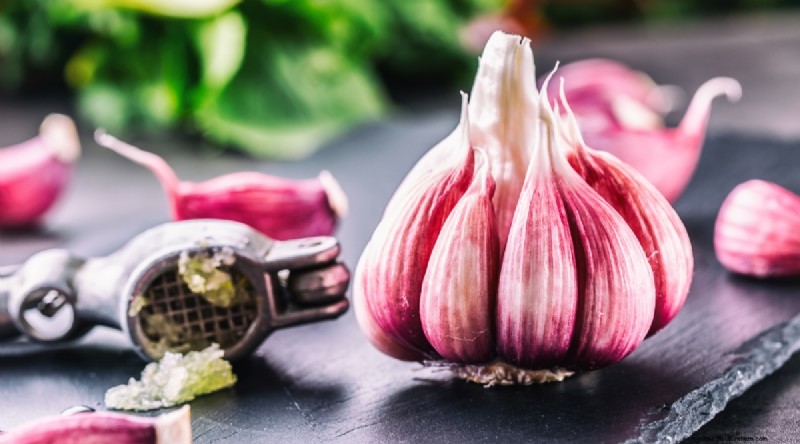 Softneck vs. Hardneck Knoblauch:Ein umfassender Leitfaden 