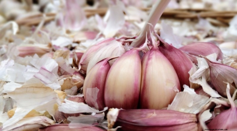 Softneck vs. Hardneck Knoblauch:Ein umfassender Leitfaden 