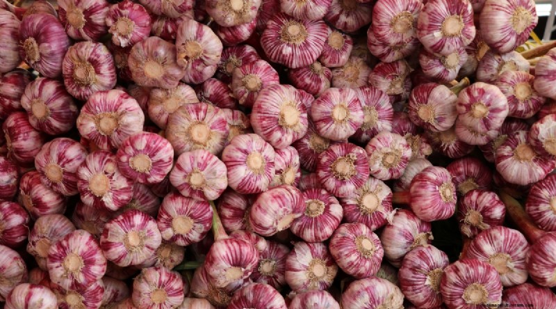 Softneck vs. Hardneck Knoblauch:Ein umfassender Leitfaden 