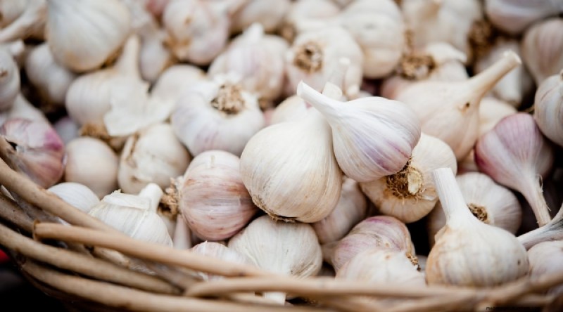 Softneck vs. Hardneck Knoblauch:Ein umfassender Leitfaden 