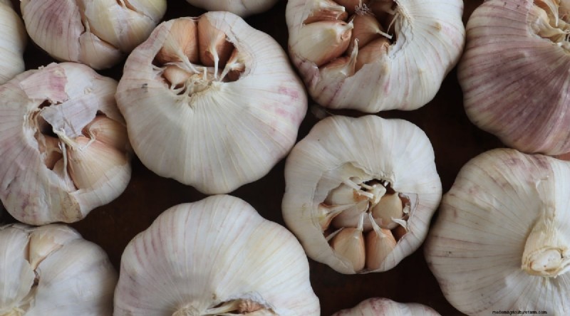 Softneck vs. Hardneck Knoblauch:Ein umfassender Leitfaden 