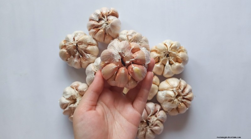 Softneck vs. Hardneck Knoblauch:Ein umfassender Leitfaden 