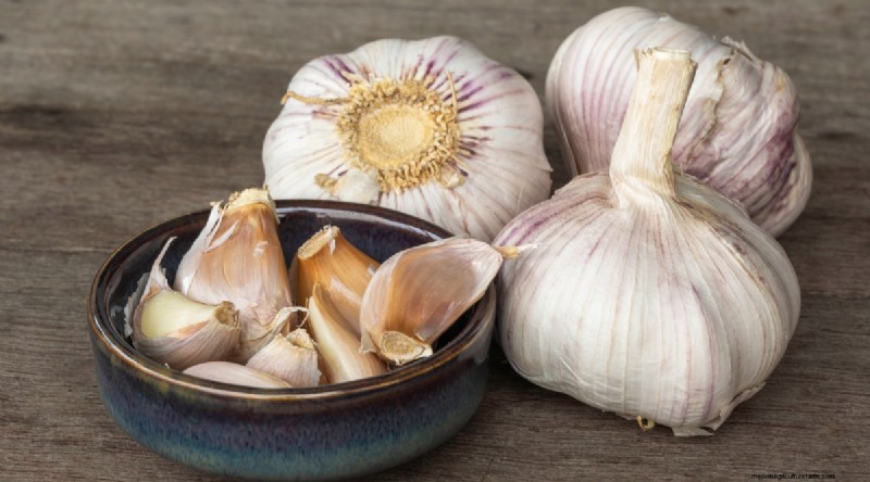 Softneck vs. Hardneck Knoblauch:Ein umfassender Leitfaden 