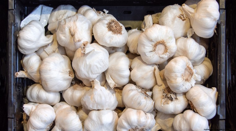 Softneck vs. Hardneck Knoblauch:Ein umfassender Leitfaden 