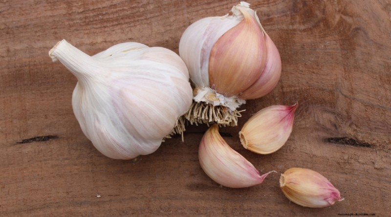 Softneck vs. Hardneck Knoblauch:Ein umfassender Leitfaden 