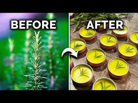 DIY met rozemarijn doordrenkte olie:een eenvoudige gids uit de tuin 