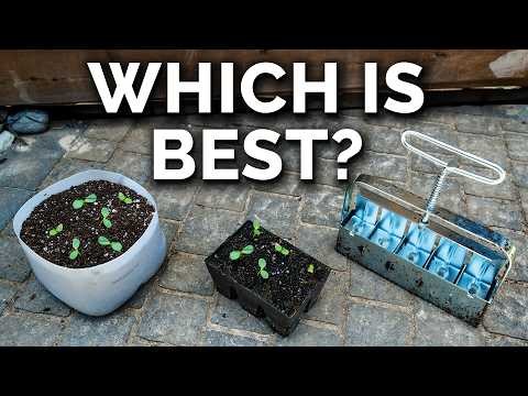 11 eenvoudigste tomatenvariëteiten om uit zaad te groeien - Beginnersgids 