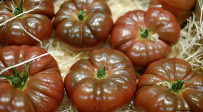 Cherokee Purple Tomatoes:Pflanz-, Anbau- und Pflegeanleitung 